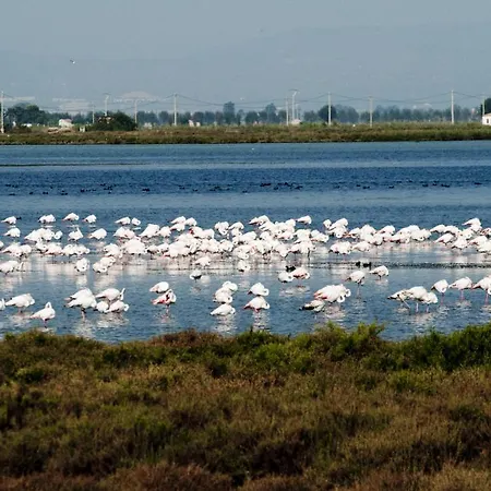 Duplex * Miami Playa